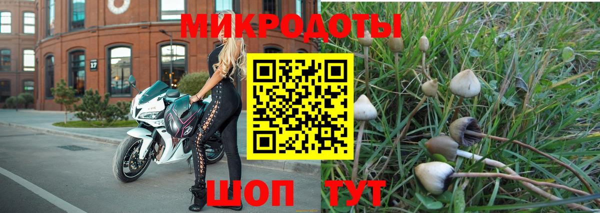 Псилоцибиновые грибы мицелий  Вход с VPN  Нововоронеж 